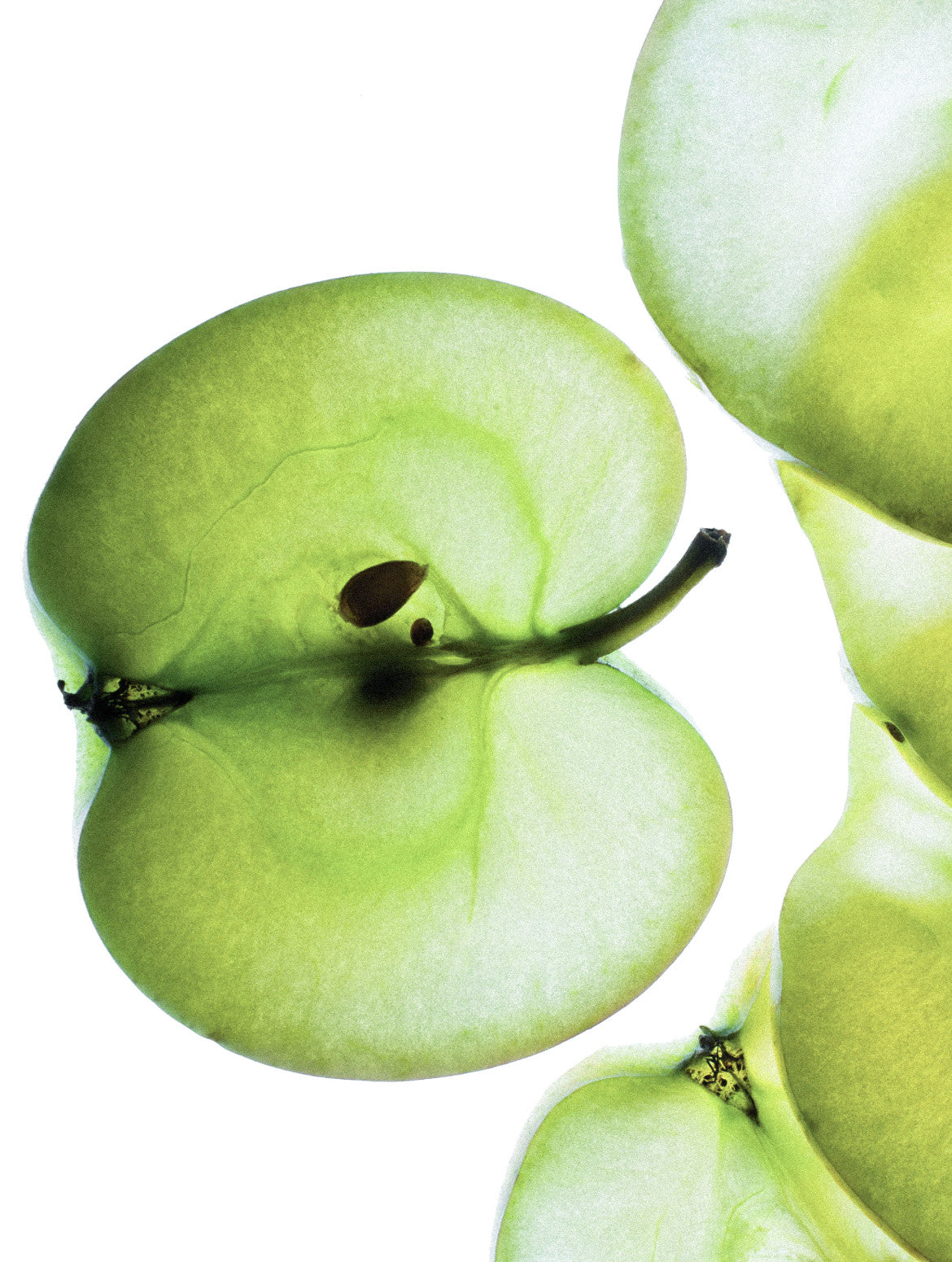 Exosome Serum | Serum met exosomen en niacinamide — AdsuaSkin
